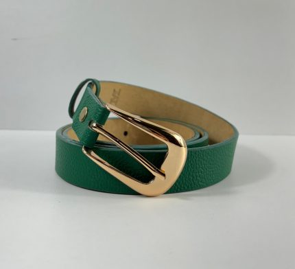 CINTURON GRUESO COLORES (2.5CM)